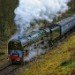 Duke of Gloucester 240109